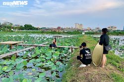 Dịch vụ ăn theo hồ sen nổi tiếng nhất Hà Nội 'chết trôi' vì COVID-19