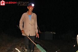 Một đêm theo thợ đi 'săn' cóc nhái
