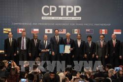 Các thành viên CPTPP nhất trí khởi động đàm phán về đơn xin gia nhập của Anh
