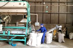 Ứng dụng công nghệ sau thu hoạch: Nâng cao giá trị nông sản