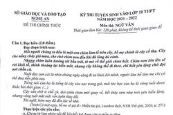 Gợi ý đáp án đề thi tuyển sinh vào lớp 10 môn Ngữ văn tỉnh Nghệ An năm 2021