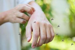 Đeo vật này trên người, chàng trai choáng váng khi không con muỗi nào dám đốt