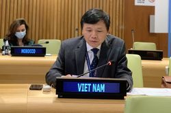 Hội đồng Bảo an: Tăng cường cách tiếp cận đối với hòa bình, an ninh ở Sahel qua lăng kính giới