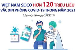 Chi tiết 120 triệu liều vắc xin Covid-19 về Việt Nam trong năm nay