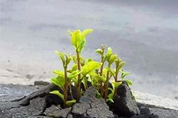 Đừng phàn nàn những mệt mỏi cuộc sống để thấy được hứng thú hàng ngày
