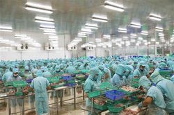 Khẩn trương đề xuất sửa đổi quy định cản trở đầu tư, kinh doanh