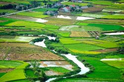 Vẻ lộng lẫy của 'thiên đường màu xanh' ngay ở Việt Nam