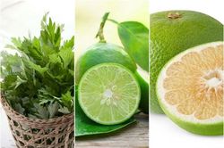 Chữa gai cột sống bằng những bài thuốc đơn giản