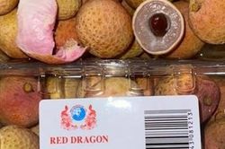 Vải thiều vào Singapore, cửa ngõ ra thế giới
