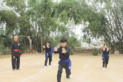 Bình Định: Bảo tồn Võ cổ truyền, góp phần quảng bá văn hóa và phát triển du lịch
