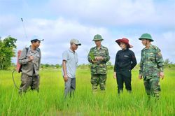 'Mạch sống' từ suối Cây Hồng
