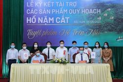 Bắc Kạn và Tập đoàn Kim Nam ký tài trợ các sản phẩm quy hoạch hồ Nặm Cắt