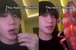 Dân mạng 'nổi da gà' khi chứng kiến TikToker làm clip ăn gián