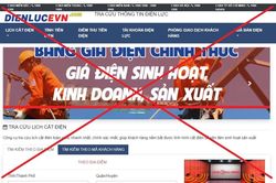 Cảnh báo trang web giả mạo thương hiệu Tập đoàn Điện lực Việt Nam
