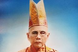 Đà Nẵng: Trưởng lão Hòa thượng Thích Từ Hoa viên tịch