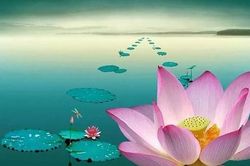 Ai còn mẹ xin đừng làm mẹ khóc!
