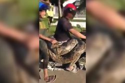 Người đàn ông vô tư cười đùa, chở trăn nặng 200kg trên xe máy
