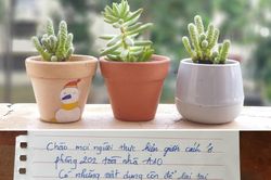 Để lại mì ở khu cách ly, sinh viên nhắn mọi người cần cứ lấy