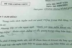 Đề chuyên Văn 'Nếu phải ở trong nước sôi' gây tranh cãi