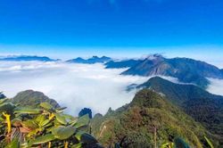 Trekking Tả Liên Sơn - Khám phá khu rừng cổ tích