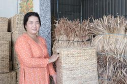 Tạo việc làm tại chỗ cho lao động nữ bằng cây mọc dại