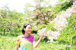 Thắm sắc hoa đào Cát Tiên