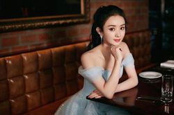 Triệu Lệ Dĩnh tạm ngừng đóng phim, tập trung giành quyền nuôi con?