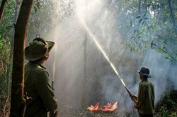 Chặn điểm nóng cháy rừng