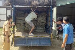 Phát hiện hơn 2 tấn nguyên liệu thuốc lá nhập lậu