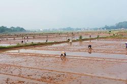Ảnh hưởng rãnh áp thấp, Hà Nội sẽ có mưa dông đến ngày 11-6