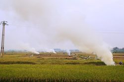 Khói rơm rạ phủ trắng cửa ngõ Hà Nội
