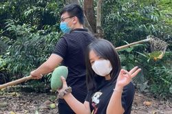 3 anh em ở TP.HCM bán xoài, ủng hộ tiền cho quỹ vaccine