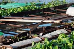 Sà lan tông vào nhiều bè cá gây thiệt hại hơn nửa tỉ đồng