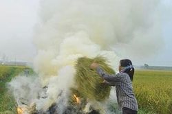 Hà Nội ô nhiễm không khí nghiêm trọng giữa mùa mưa