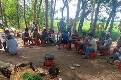 48 người tụ tập đá gá, lắc tài xỉu trong bãi đất trống
