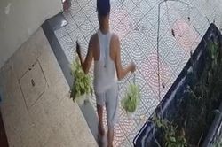 Đi tập thể dục tiện tay làm việc 'xấu xí', người đàn ông bị camera an ninh 'bóc mẽ'