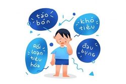 Hệ tiêu hóa khỏe - Chìa khóa giúp cơ thể tránh xa bệnh tật