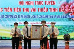 Bắc Giang: Hội nghị trực tuyến tiêu thụ vải thiều với 30 điểm cầu trong nước và quốc tế