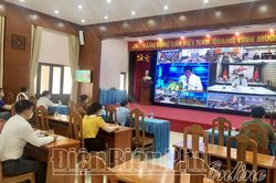 Bắc Giang xúc tiến tiêu thụ vải thiều