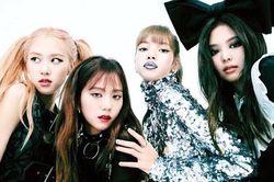 Nghỉ diễn vì covid, Blackpink thường làm gì buổi tối?