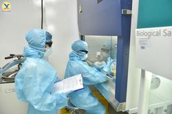 Hà Nội: Phát hiện trường hợp thứ 7 dương tính SARS-CoV-2 ở Đông Anh