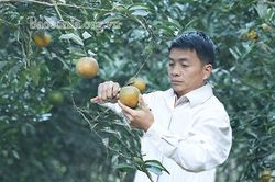 'Muốn bà con tin, tôi phải tiên phong làm trước'