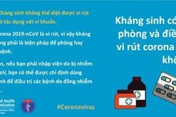 Giải pháp hạn chế kháng thuốc trong đại dịch COVID-19