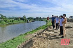 Tăng cường xử lý vi phạm pháp luật về đê điều