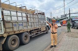 Bình Dương lập 3 chốt kiểm dịch trên các tuyến đường huyết mạch