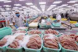 Cảng Trạm Giang (Trung Quốc) tạm dừng nhập khẩu thực phẩm đông lạnh