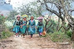 Cái lý của già làng thắng cái lý của tiến sĩ