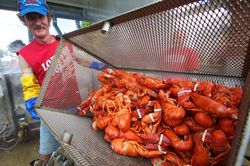 Lễ hội tôm hùm và 6 sự kiện ẩm thực độc lạ trên thế giới