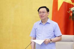 Cần đẩy nhanh chiến lược vắc-xin và tổng kết gói hỗ trợ thiệt hại do Covid-19