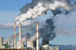 Dự án lưu giữ carbon nhận được sự quan tâm đặc biệt